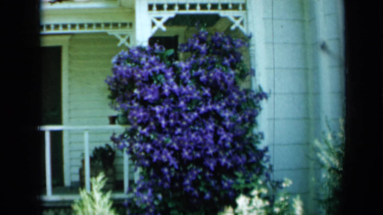 White porch edge with purple clematis blooming beside sunlit garden plants.