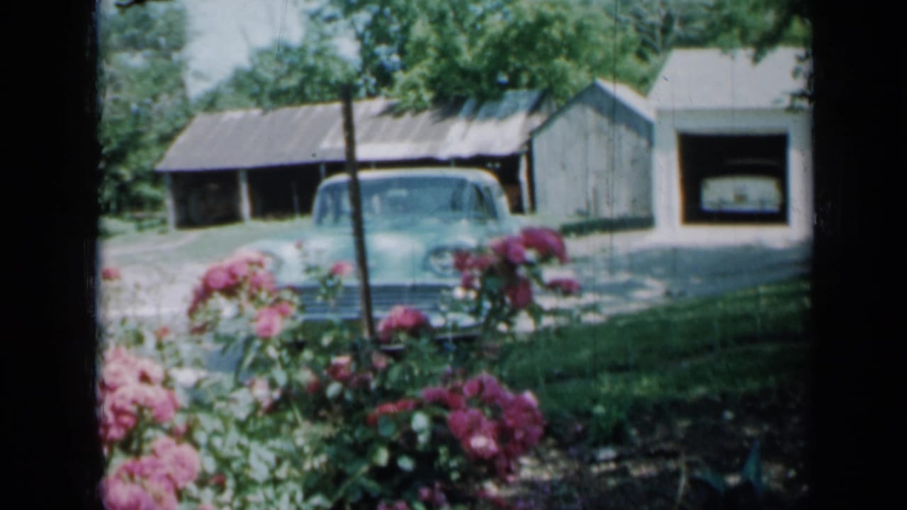 Light blue car parked near a house and outbuildings behind pink flowers.