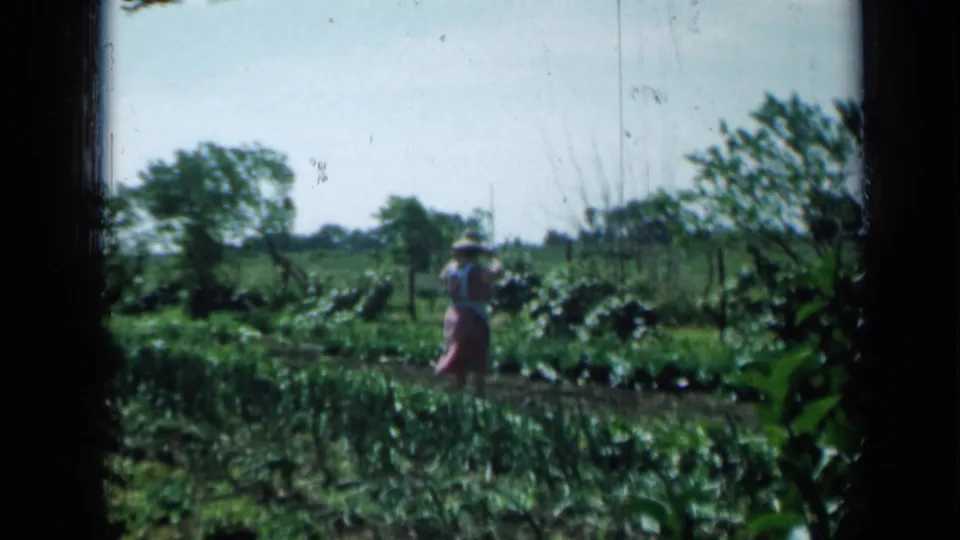 1958 Minnesota home-movie frame with a woman in a hat standing among leafy rows in a rural-looking garden.