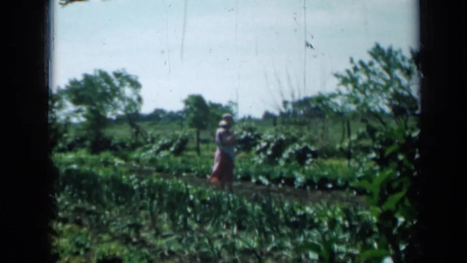 1958 Minnesota home-movie frame showing a woman in a light dress and hat moving through a cultivated garden.