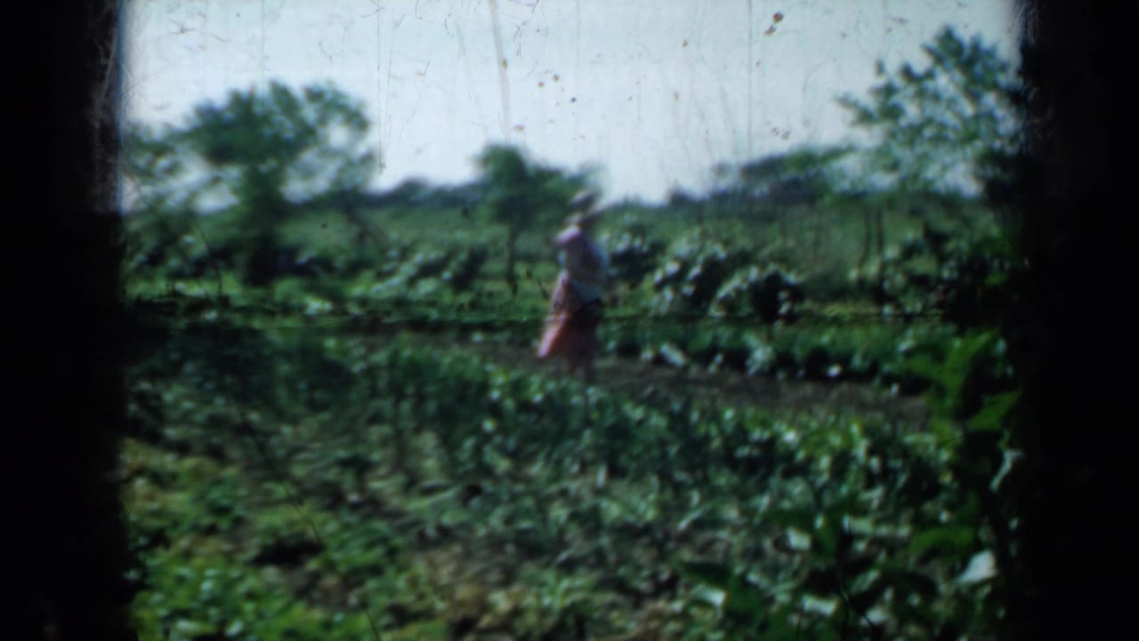 Woman standing farther back in a garden with rows of plants and trees behind her.