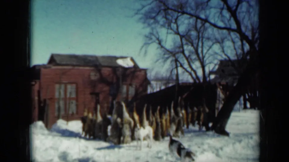 1958 Minnesota 8mm frame showing harvested game hanging in a snowy yard near a small white dog and red brick house.