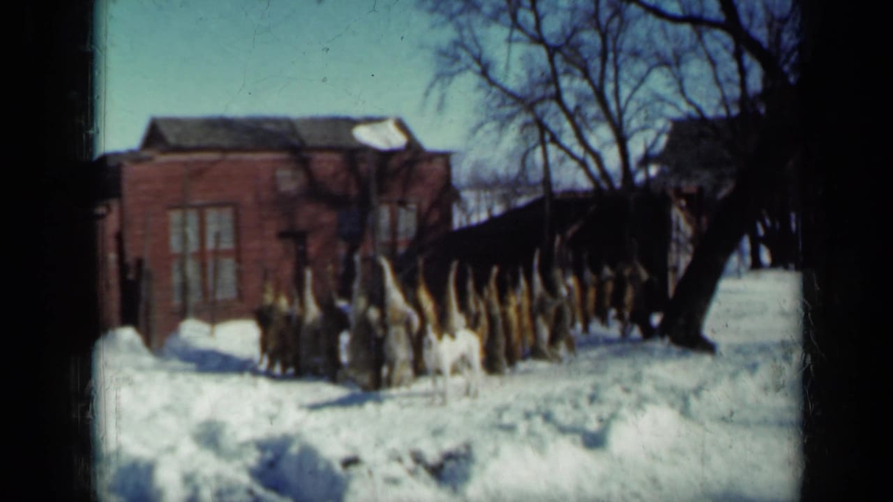 1958 Minnesota home-movie frame with hanging game in a snowy yard, bare trees, and a red brick house behind it.