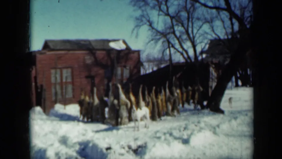 1958 Minnesota 8mm frame of a dog in a snowy residential yard with harvested game hanging on a line.