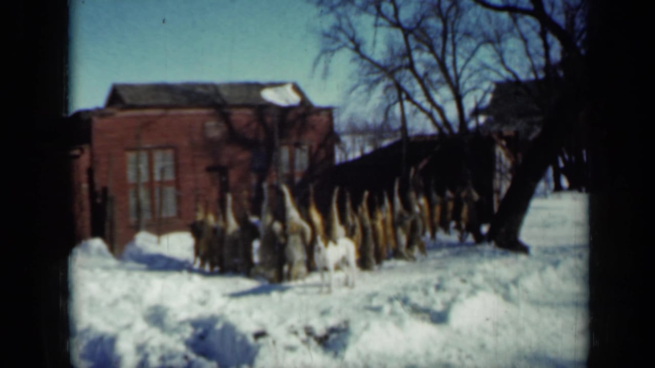 Snowy farmyard with brick building, corn stalks, bare trees, and a small dog.