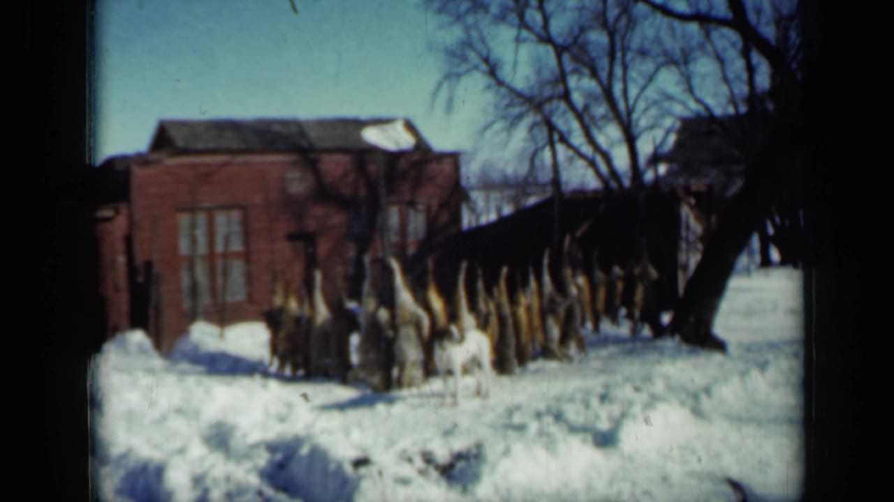 Snow-covered Minnesota farmyard in 1958 with a brick outbuilding, stacked corn stalks, bare trees, and a small dog near the center.