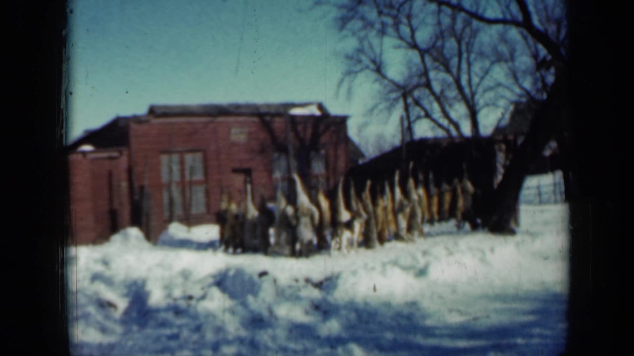 Snowy farmyard with a red outbuilding, bare trees, and bundled material standing in the snow.