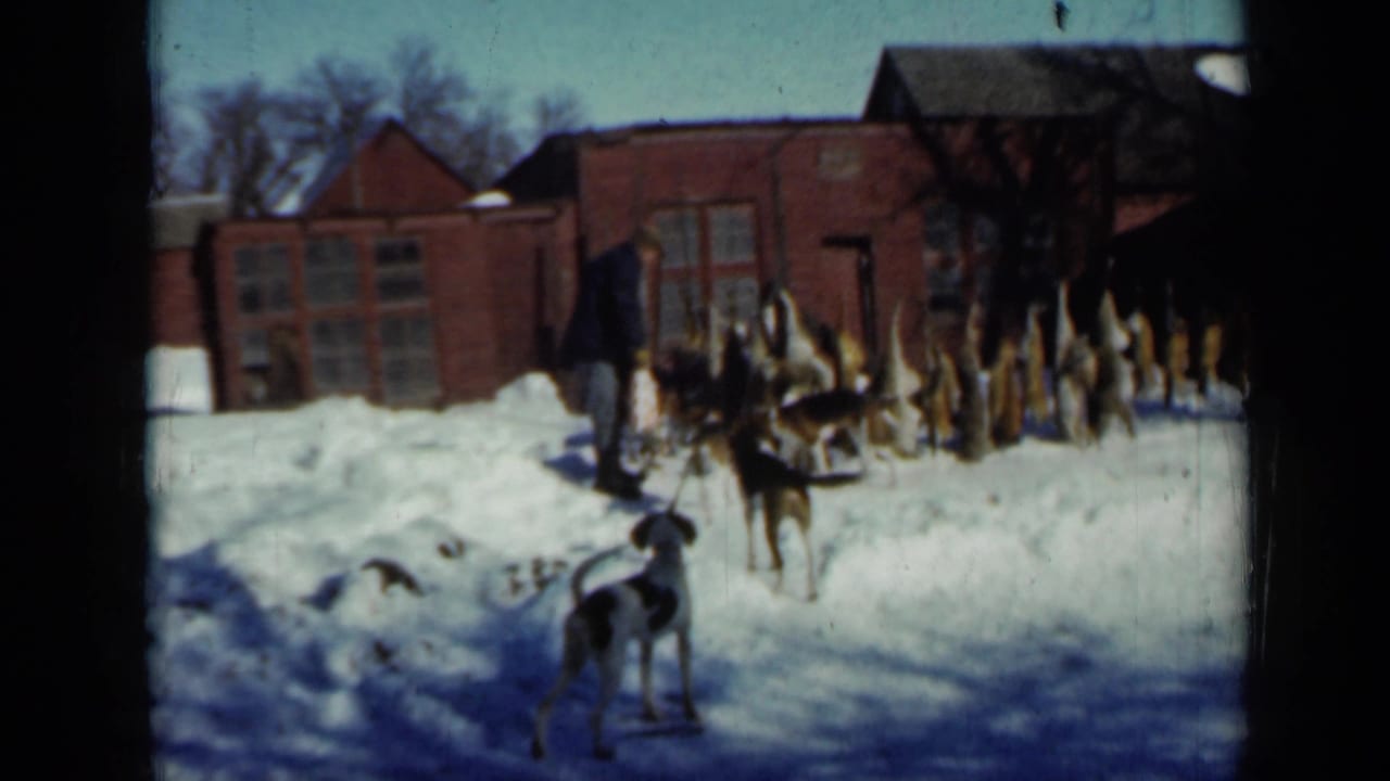 A man stands in a snowy Minnesota farmyard with hunting dogs and mounted animal heads displayed near red buildings.