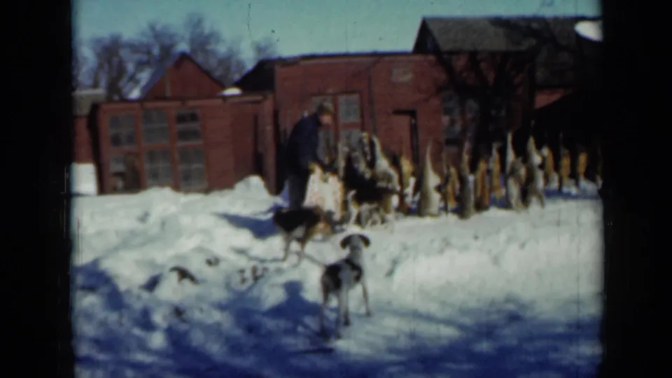 1958 Minnesota home-movie frame of a man tending to dogs in deep snow near a line of mounted animal heads.