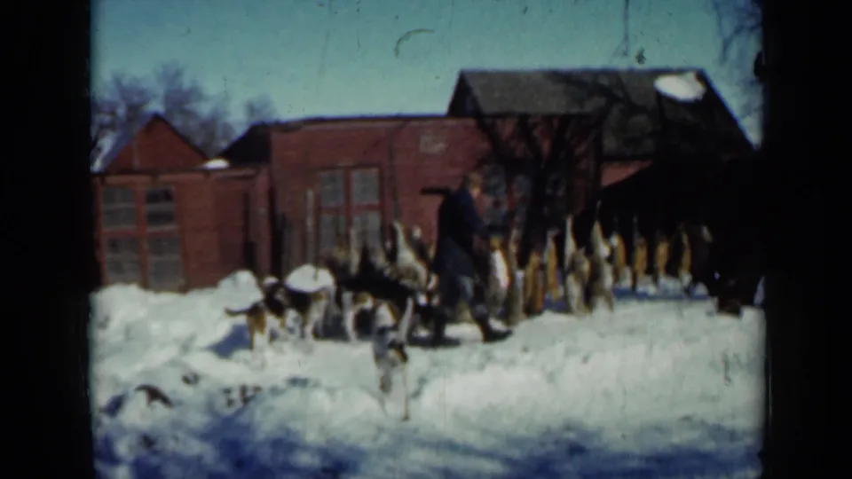 Dogs cross a snowy farmyard as a man stands by mounted animal heads, with red Minnesota farm buildings in the background.