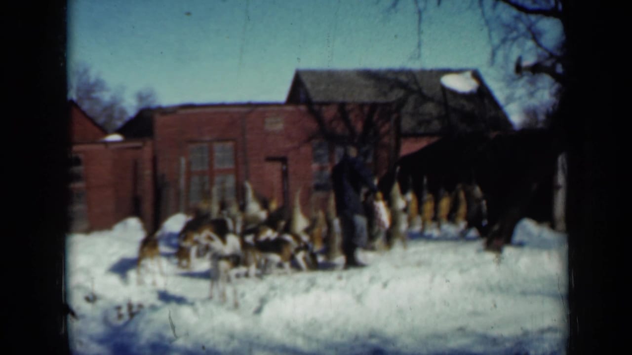 Man in a dark coat approaches a large group of dogs in deep snow near a red brick building.
