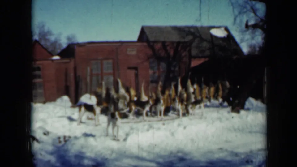 A snowy 1958 Minnesota home-movie frame shows the man close to the dog pack, with hounds crowded near a platform or sled.
