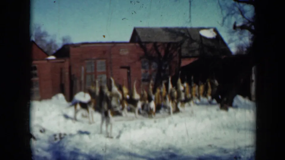 Final frame of the snowy Minnesota scene, with the man and a large group of hounds still gathered outside the brick outbuilding.