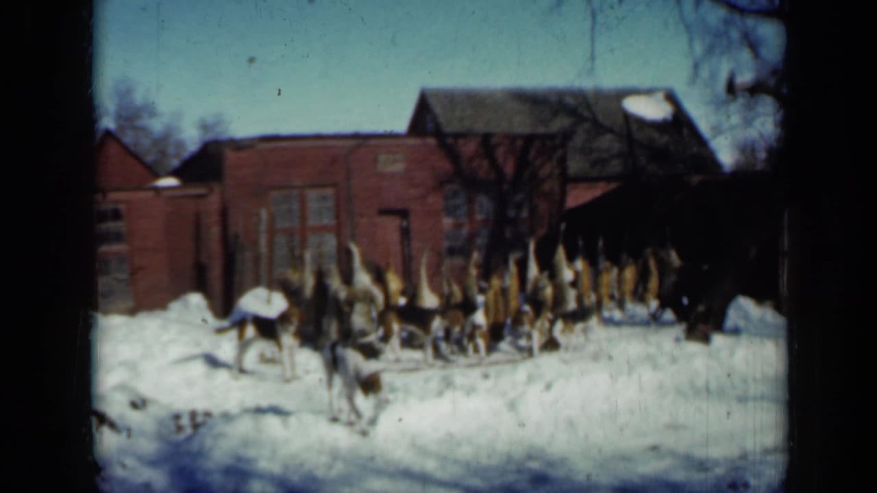 Hounds gather in snow outside a red brick hut beneath bare winter trees.