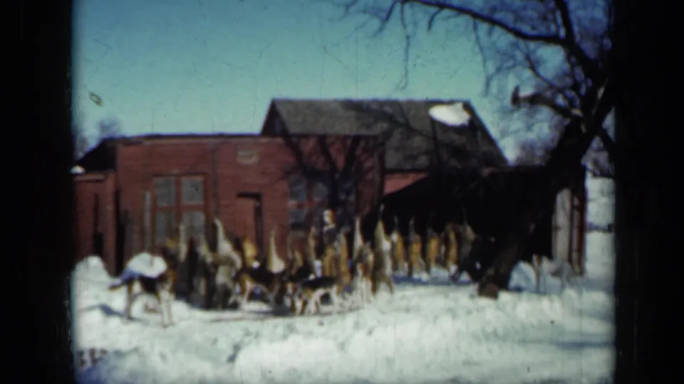 8mm home-movie frame from Minnesota, 1958, showing hounds outside a brick hunting hut in snow.
