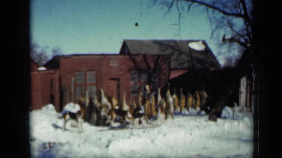 Final 1958 Minnesota frame showing hounds in snow outside a red brick hunting hut under winter trees.