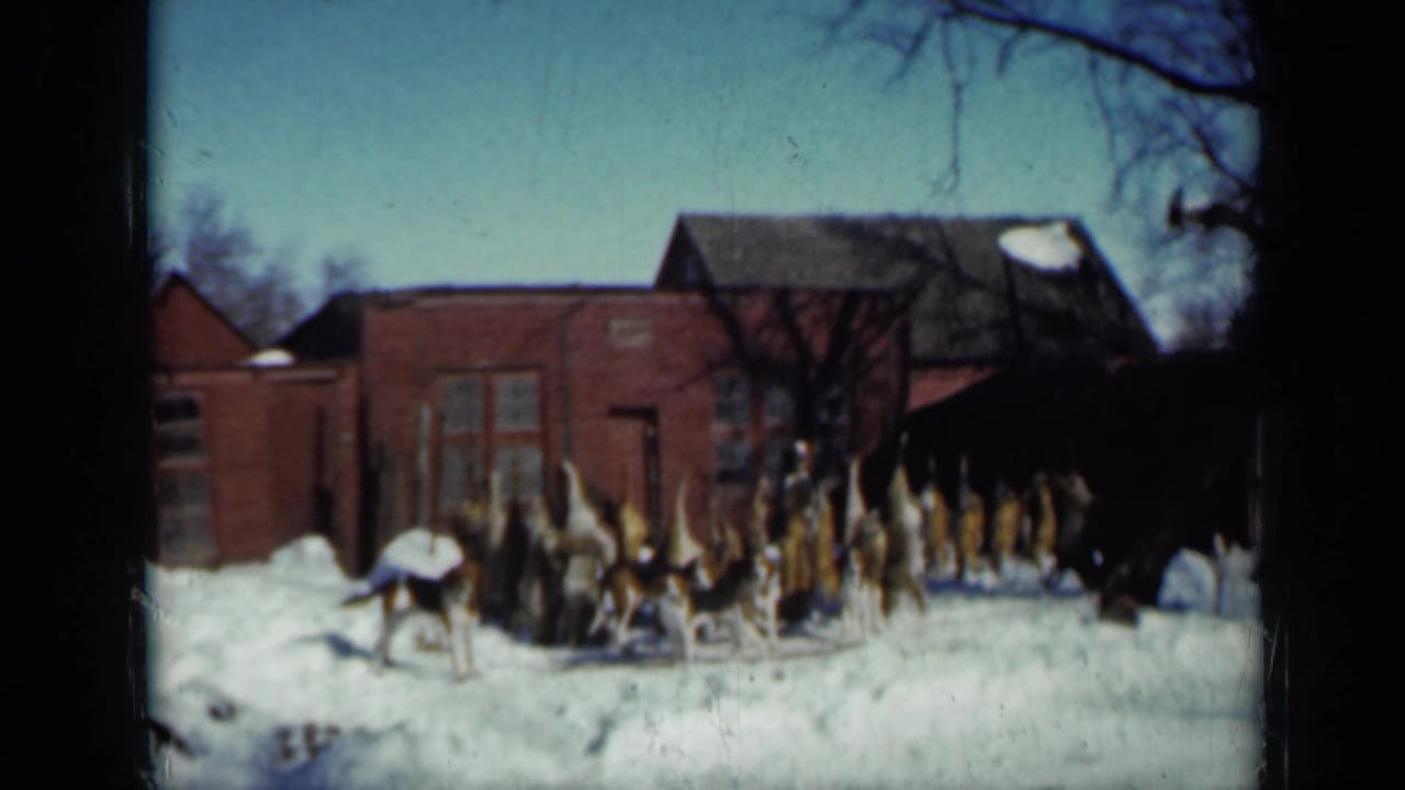 Snowy yard with hunting dogs and hanging pelts in front of a brick house.