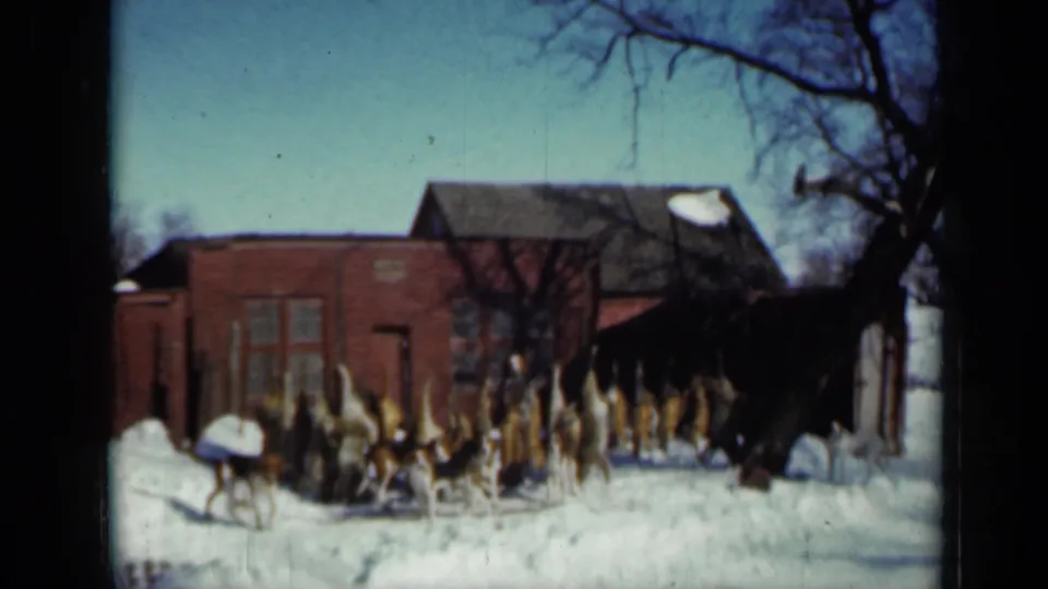 Home-movie view of a red brick house, snow, hunting dogs, and a line of coyote pelts in rural Minnesota, dated by metadata to 1958.
