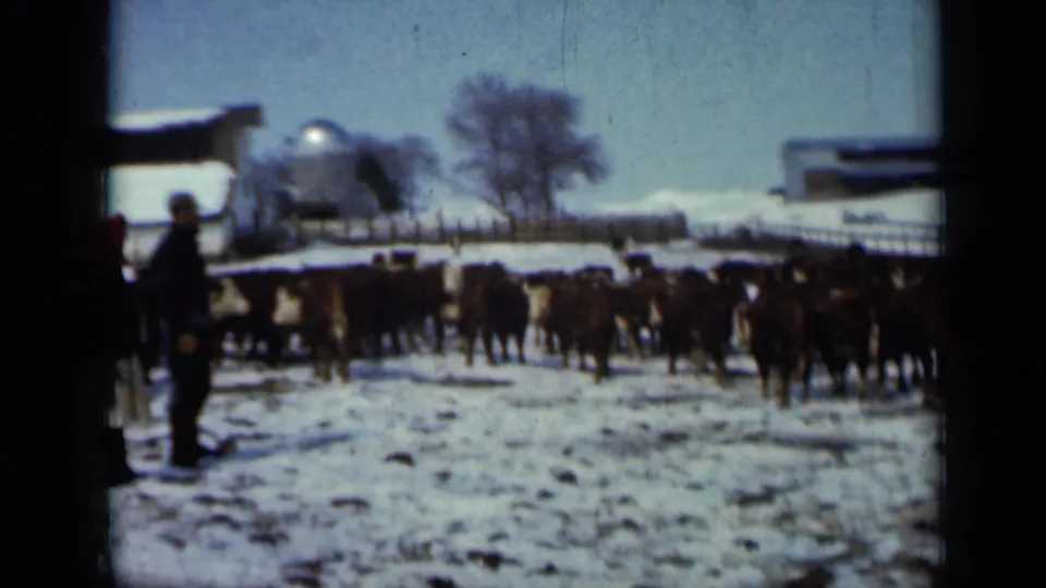 1958 Minnesota farm frame showing a bundled person near cattle on snowy ground, with a silo, barn, fencing, and leafless trees beyond.
