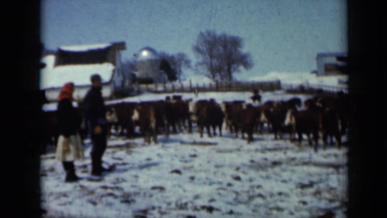 Two bundled adults stand in a snowy farmyard near cattle, with a barn and silo behind them.