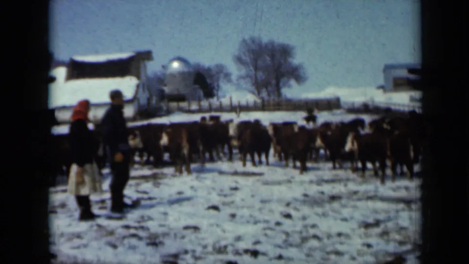 1958 Minnesota farm scene with two adults in winter clothing watching cattle in snow near a barn, silo, fencing, and bare trees.