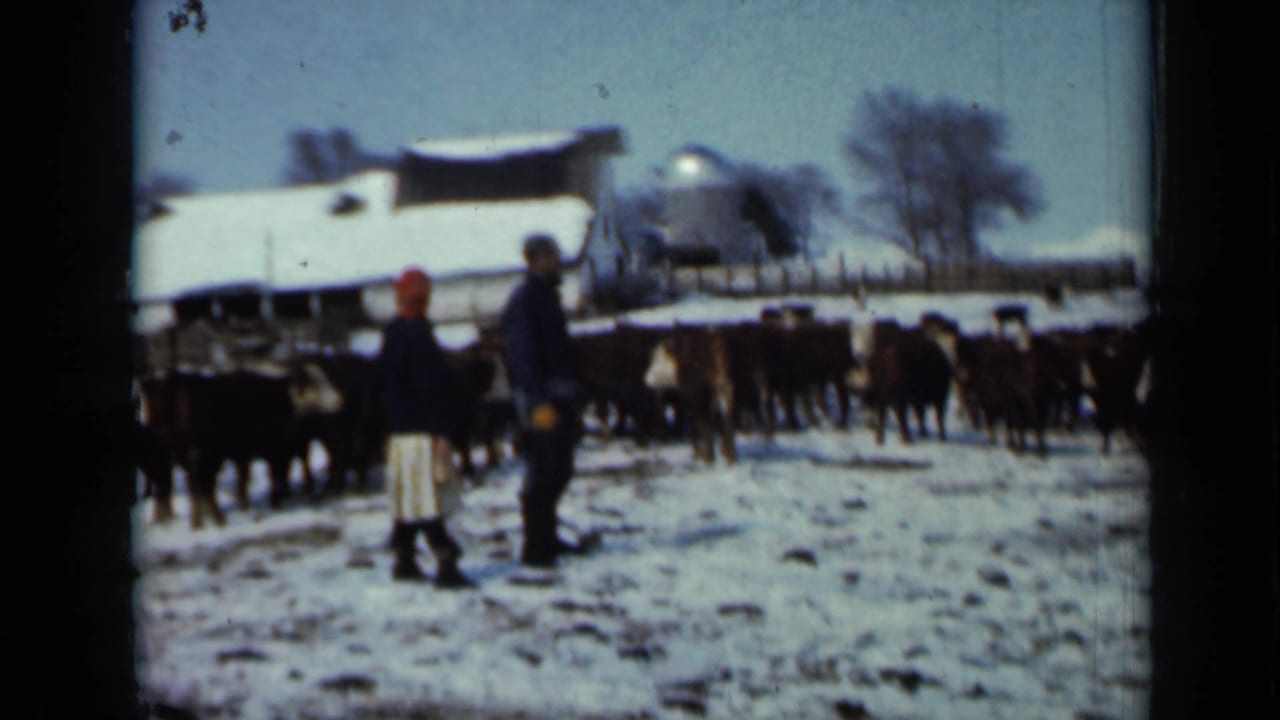 Two adults in winter clothing stand beside cattle on a snowy Minnesota farm, with a barn roof, silo, fence, and winter trees visible.