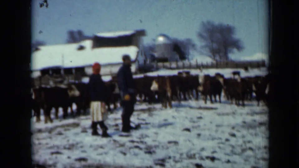 Two adults in winter clothing stand beside cattle on a snowy Minnesota farm, with a barn roof, silo, fence, and winter trees visible.