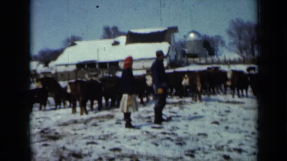 1958 home-movie frame of two bundled adults near cattle on a snowy Minnesota farm, seen with a barn, silo, fencing, and bare winter trees.
