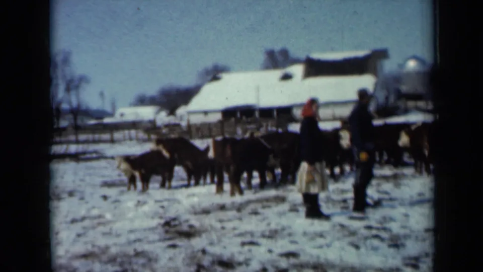 On a snowy 1958 Minnesota farm, two adults in winter clothing stand near cattle with a barn, silo, fence, and leafless trees behind them.