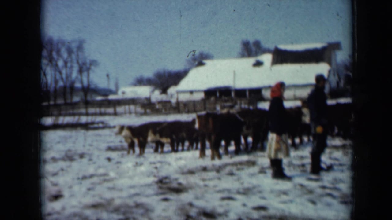 Cattle stand in a snowy farm field near two bundled people and snow-covered barns.