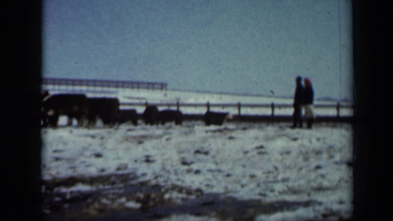 1958 Minnesota home-movie frame with two distant figures standing in snow near livestock by a fence.
