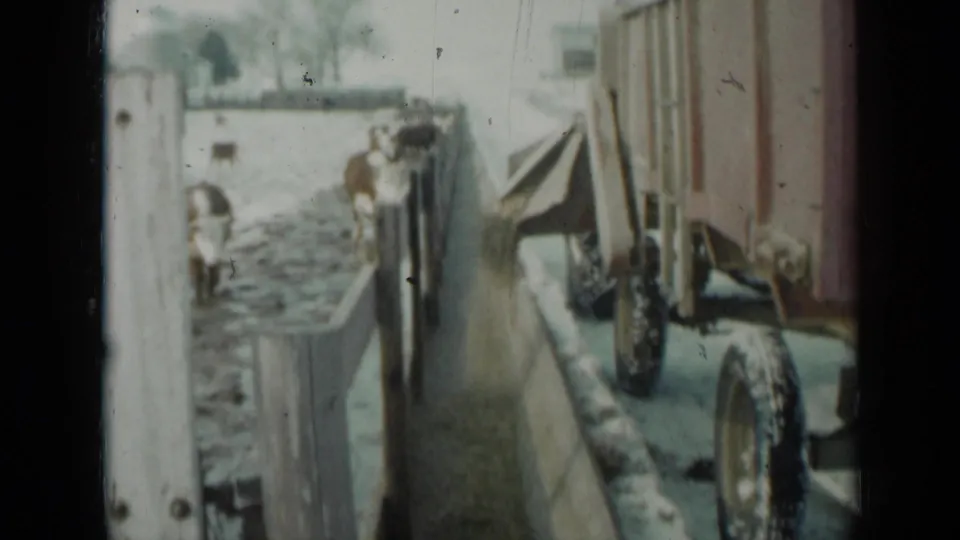 Close 8mm view of a wagon beside a wooden fence with cattle feeding in a snowy Minnesota paddock.