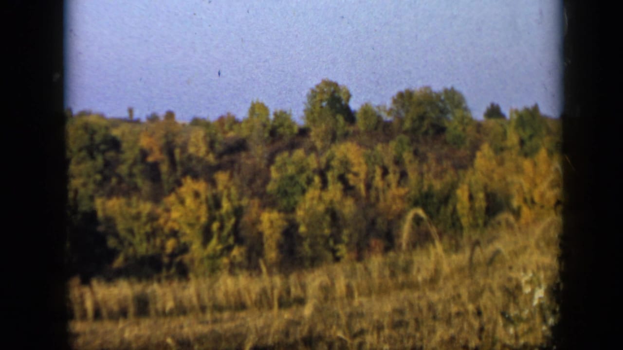 Tree line and tall grass under a blue sky, framed by dark 8mm film edges.