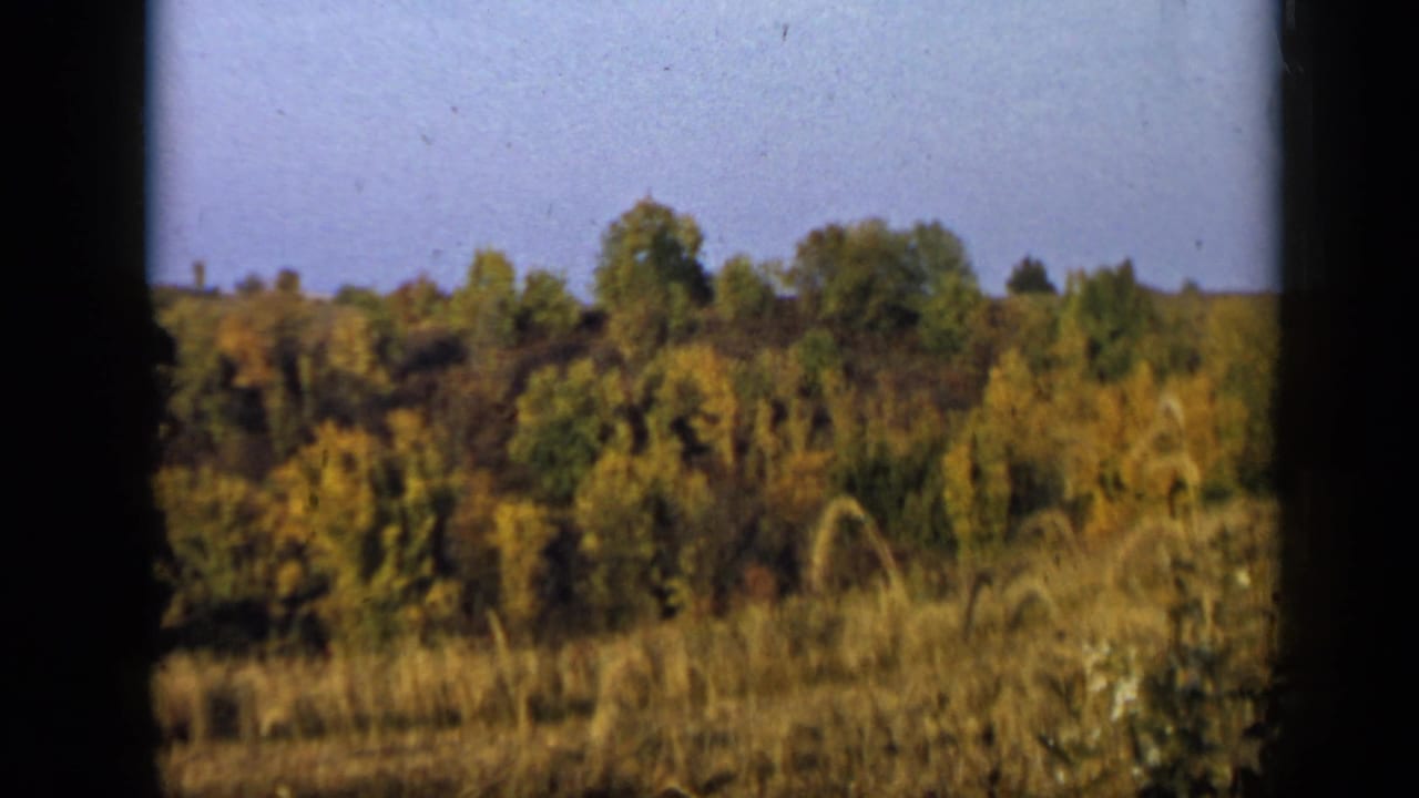 Aledo-area rural vegetation appears in soft focus, with trees, field grass, and visible 8mm frame borders.