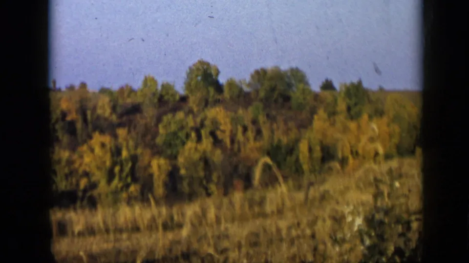 Handheld 1959 8mm footage of a grassy rural field and autumn-toned trees near Aledo, Texas.