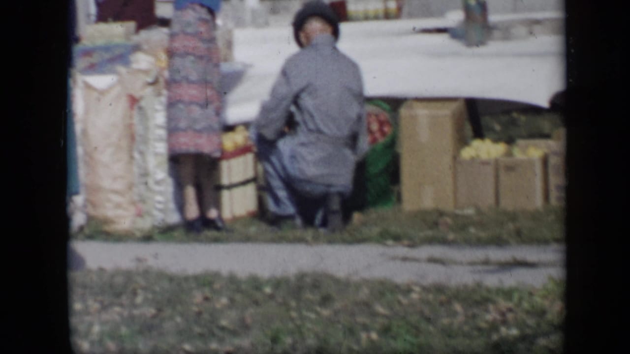 Adults tend boxes and produce beside a white-covered yard sale table in Aledo, Texas, according to the clip metadata.