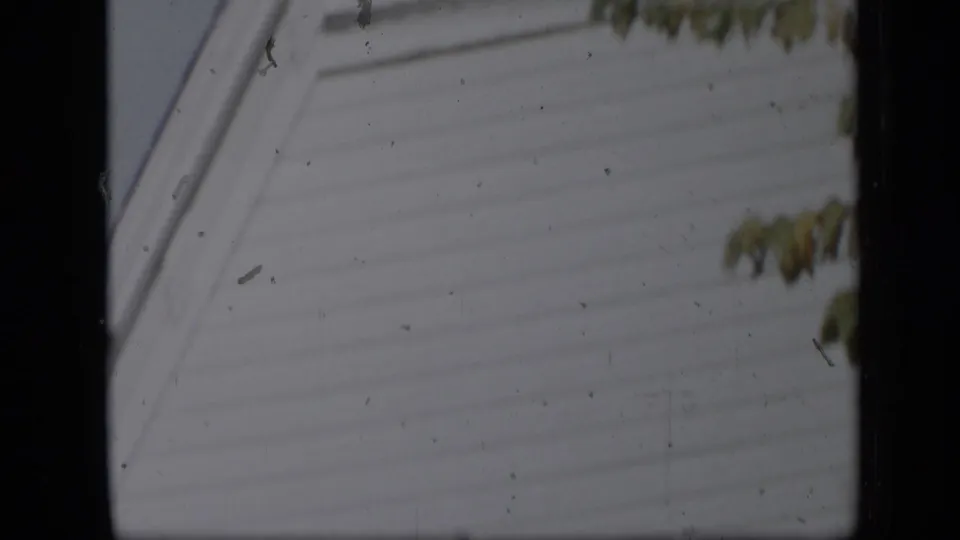 Close view of the white church exterior siding and roofline, with leaves crossing the upper edge of the frame.