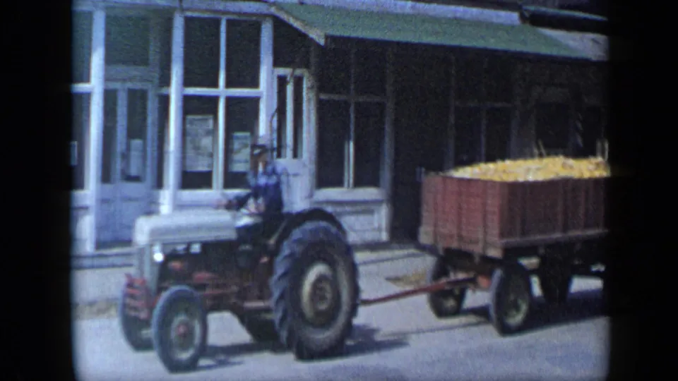 The tractor driver passes a white building with large windows and a green awning while pulling a wagon loaded with corn.