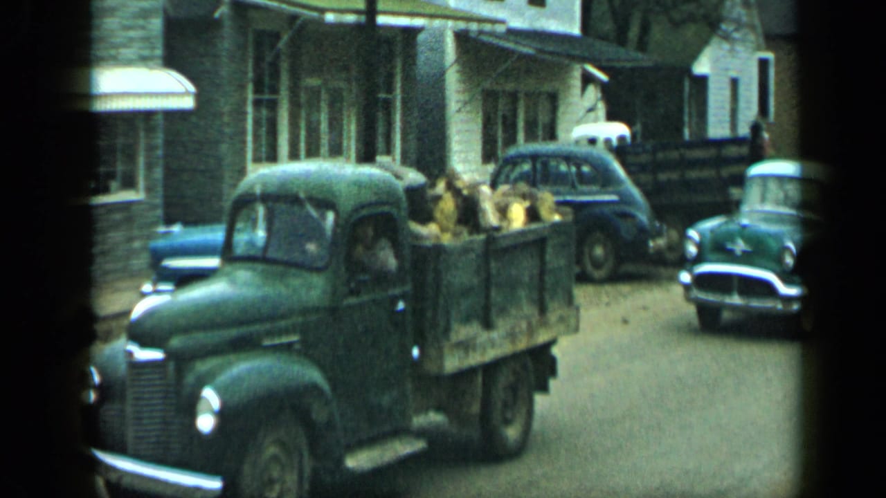 A green pickup loaded with hay or feed is followed by a green car on a residential street in 1959 Aledo, Texas.