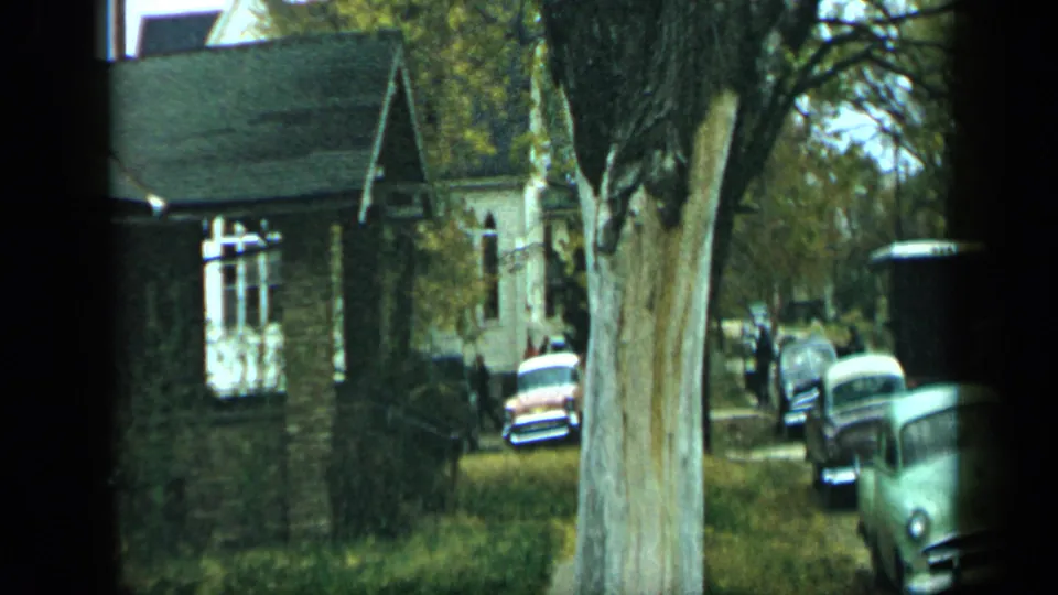 1959 Aledo, Texas view past a tree trunk toward a brick house and parked mid-century cars on a grassy roadside.