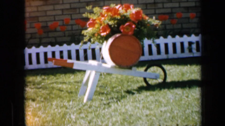 1959 Iowa home-movie frame with a white wheelbarrow flower display, sunlit lawn, picket fence, and brick house background.