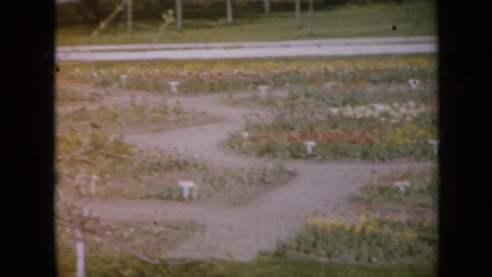 1959 Iowa 8mm frame showing winding concrete paths through planted beds with white markers, grass, and trees beyond.