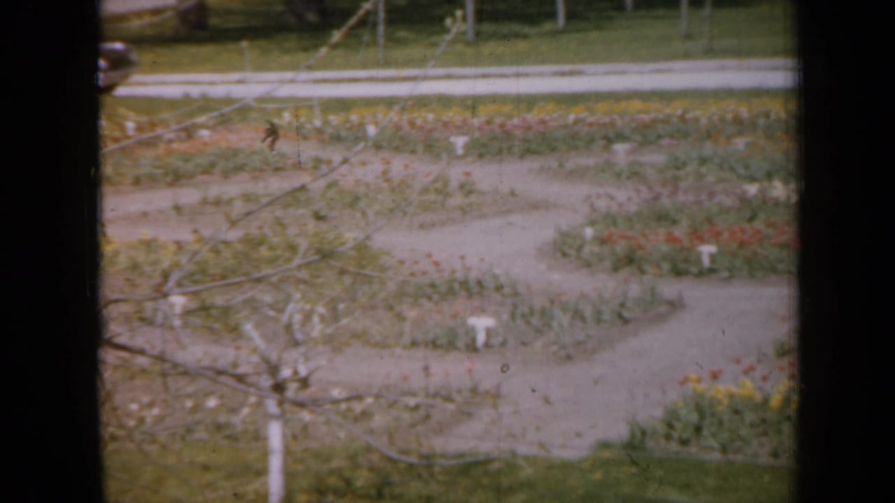 Yard with winding gravel path, flower beds, lawn, and bare branches in the foreground.