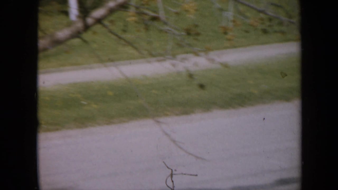 Pale path and green lawn seen through dark film-frame edges.