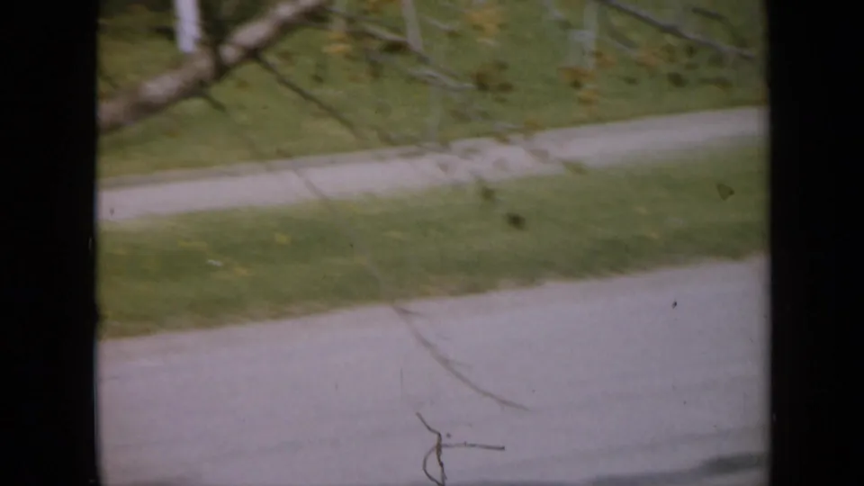 1959 Iowa 8mm frame showing a pale path, green grass, and soft tree branches from a high home-movie viewpoint.