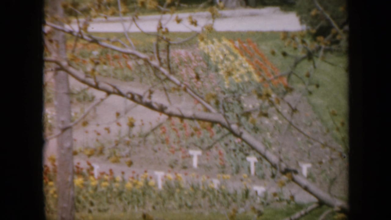 Flower beds and gravel paths seen through tree branches in a garden.