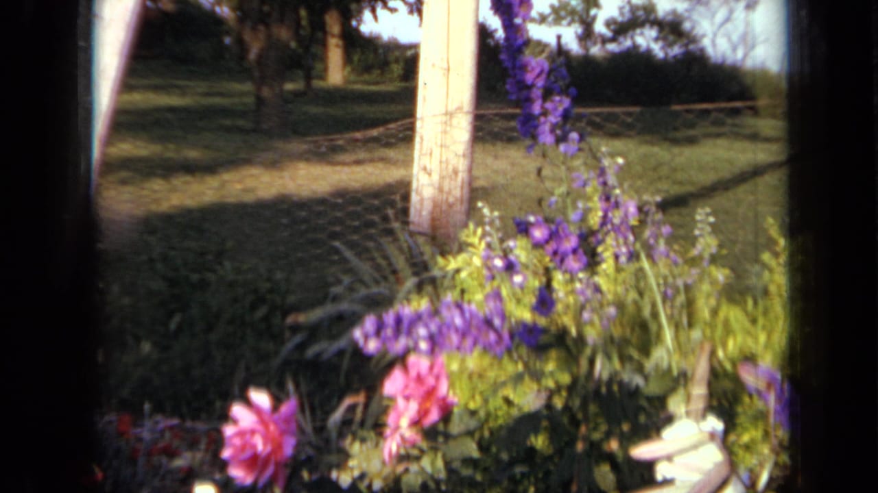 Flower bed with purple blooms, pink blossoms, wire fence, wooden post, lawn, and trees.