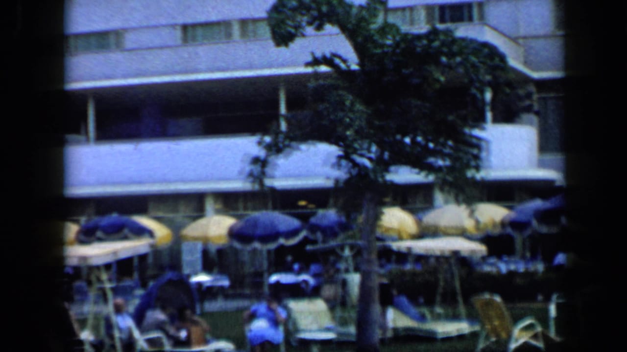 Poolside hotel area in 1959 Venezuela, with a palm tree, lounge chairs, umbrellas, and distant guests.