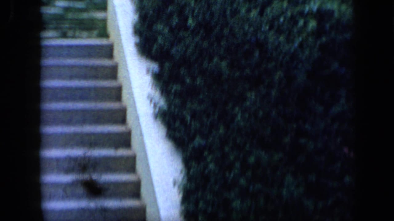 1959 8mm travel frame from Venezuela showing stone steps bordered by a white wall and thick hedges.