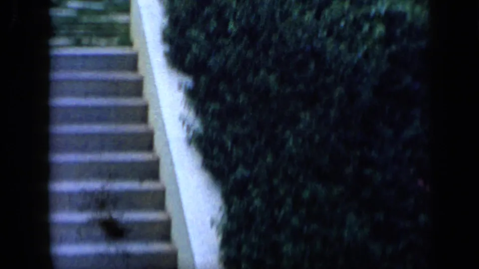 1959 8mm travel frame from Venezuela showing stone steps bordered by a white wall and thick hedges.